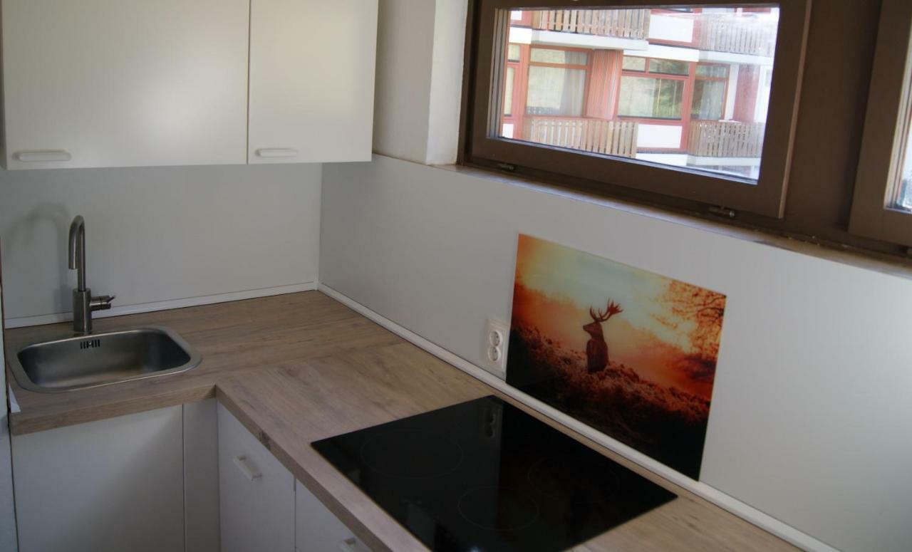 Ferienwohnung Schwarzwaldlust Schluchsee Luaran gambar
